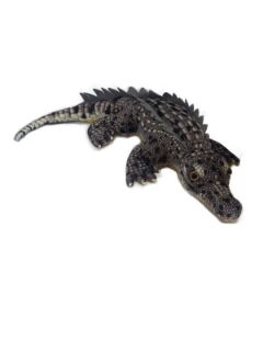 Obrázek z Krokodýl šedý plyš 55cm, natočený (120) 